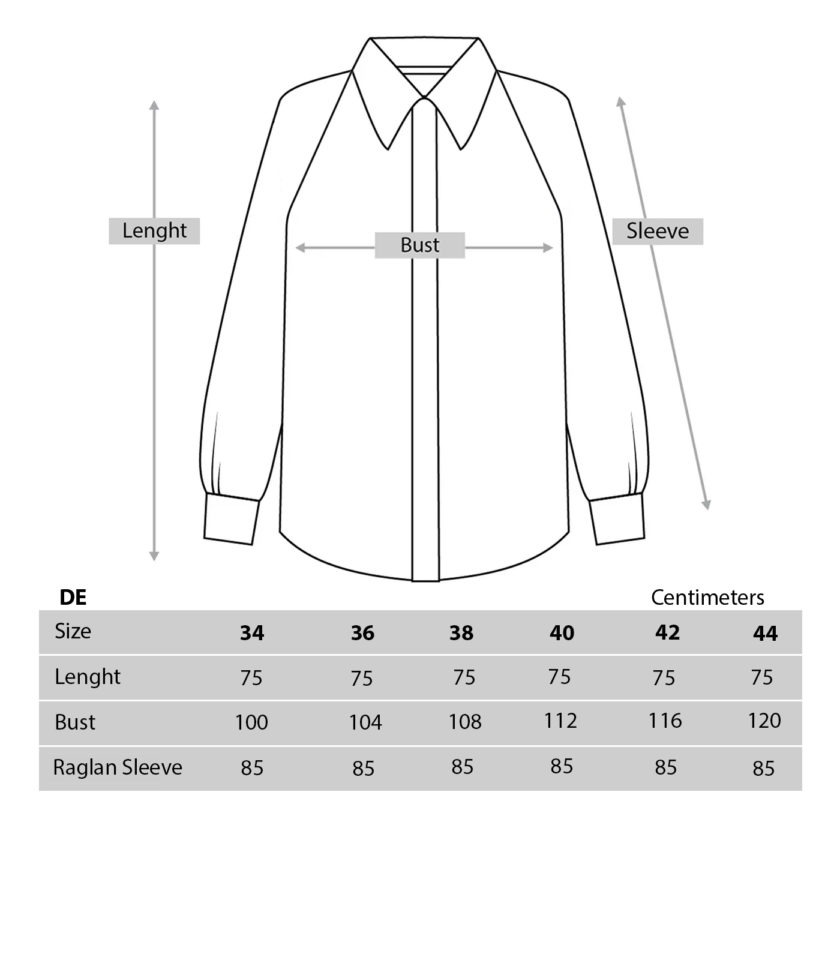 SILK BLOUSE AND PANTS SET - Image 7